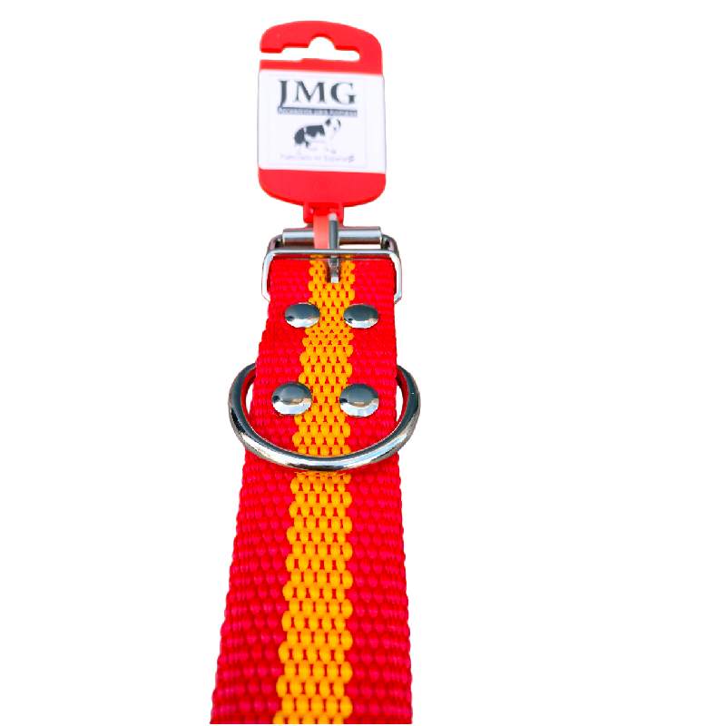 Collar XL Fuerte Para Perro 75cm - Imagen 2