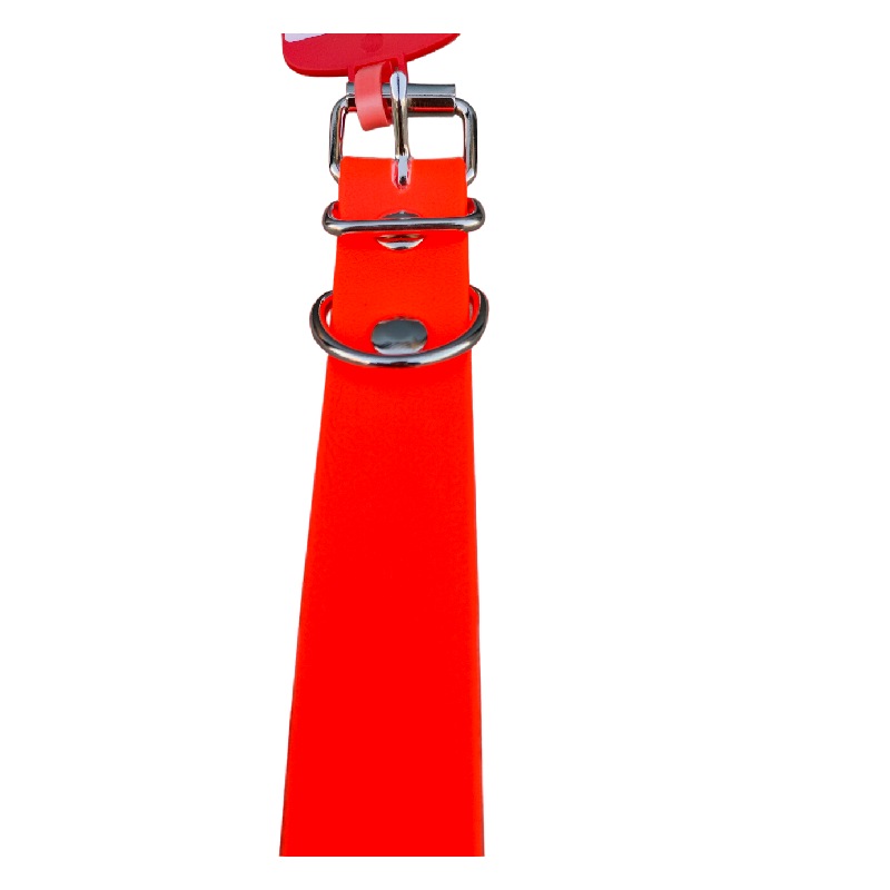 JMG Collar Para Perro 2,5x45cm - Imagen 6