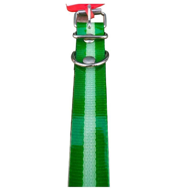 JMG Collar para Perro 2,5x40cm - Imagen 4