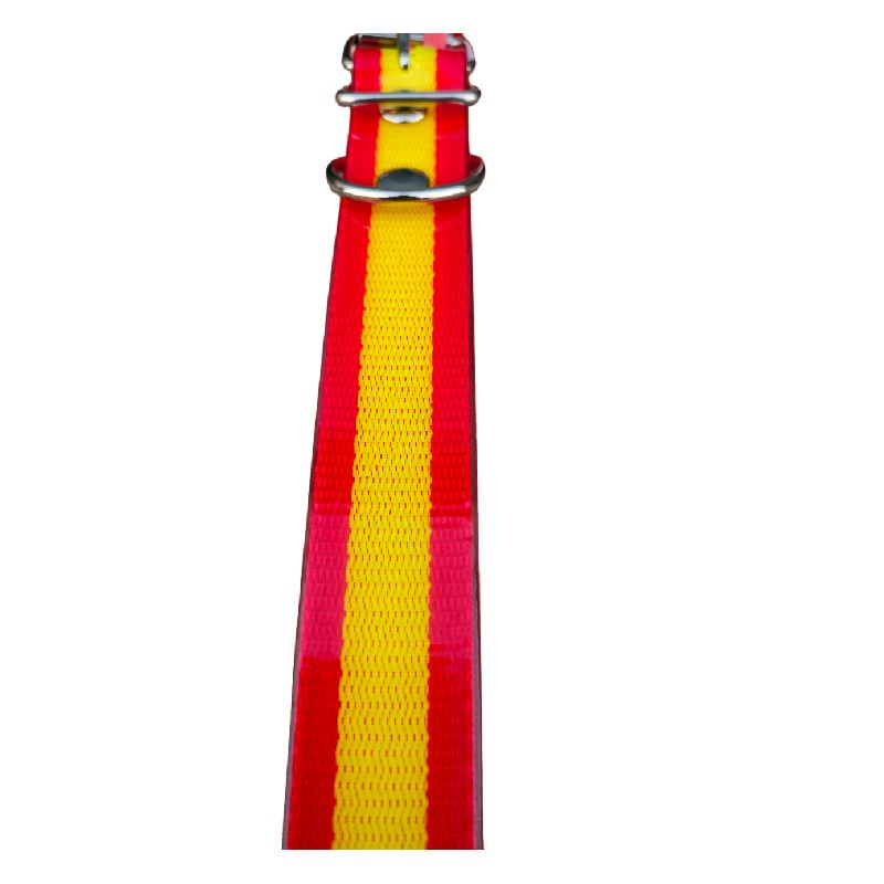 JMG Collar para Perro 2,5x40cm - Imagen 2
