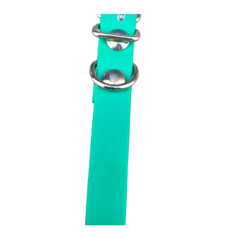 Collar de Perro 1,6x30cm JMG - Imagen 4