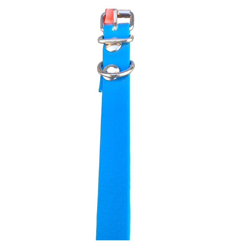 Collar de Perro 1,6x30cm JMG - Imagen 6