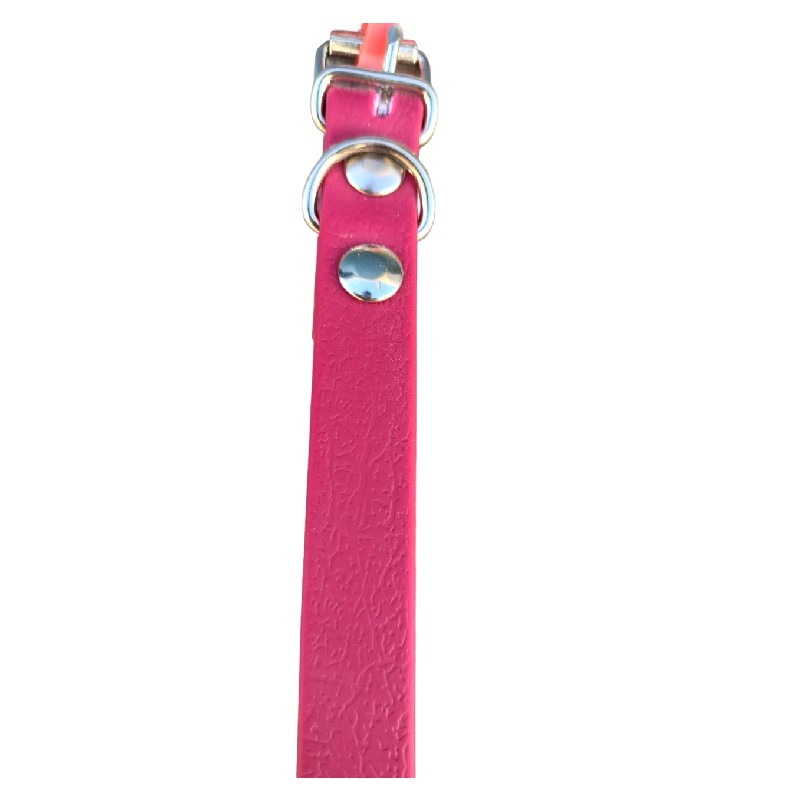 Collar de Perro 1,6x30cm JMG - Imagen 8