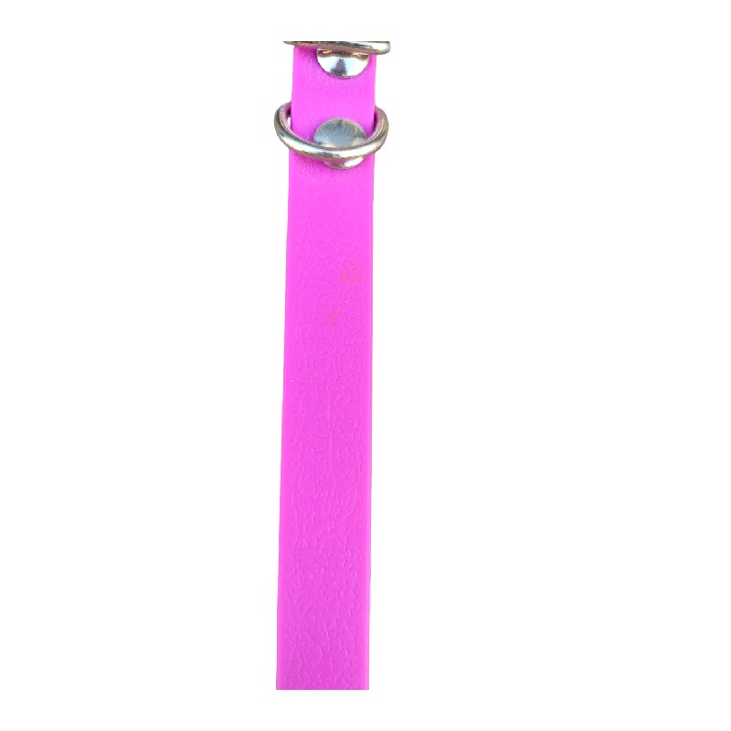 Collar de Perro 1,6x30cm JMG - Imagen 10