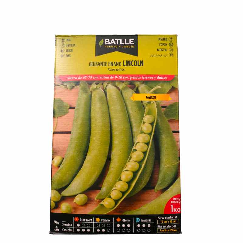 Guisante Enano Lincoln 1Kg