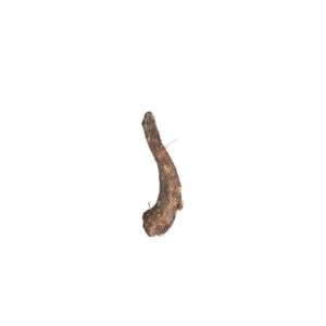 Cuello de Pollo Butcher